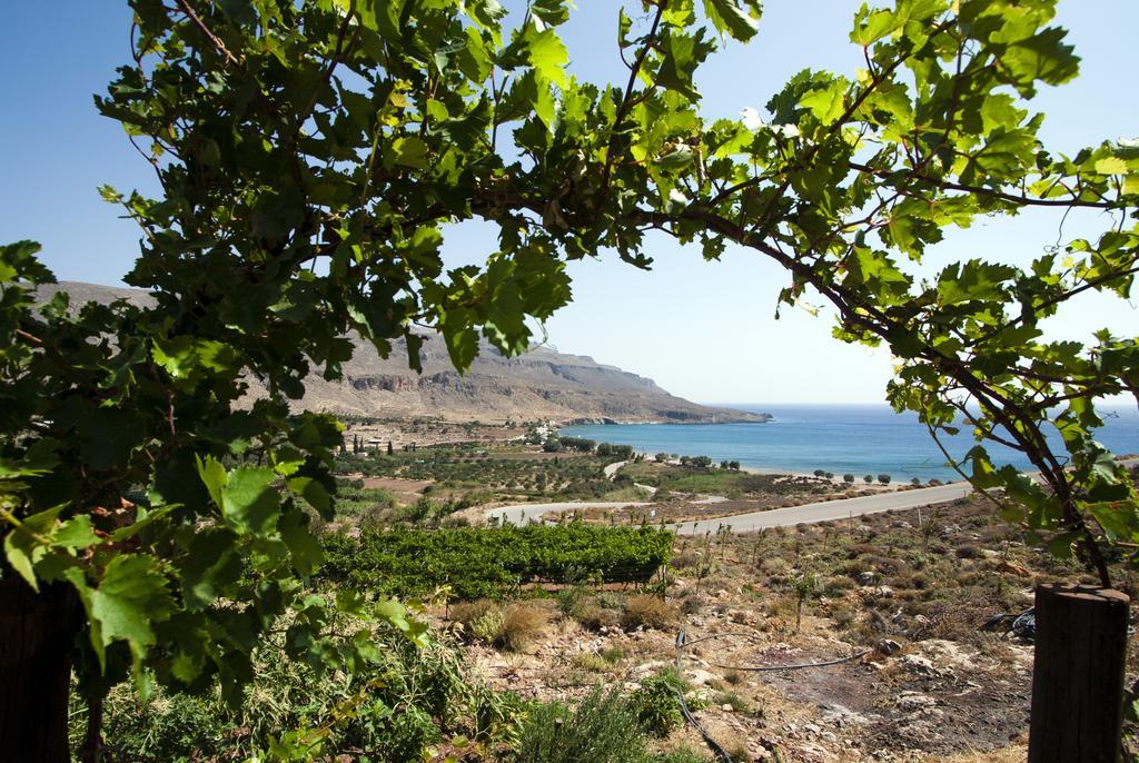 Villa Kalliopi Ιncreteble Cretan Resindences Collection Xerokampos  Extérieur photo