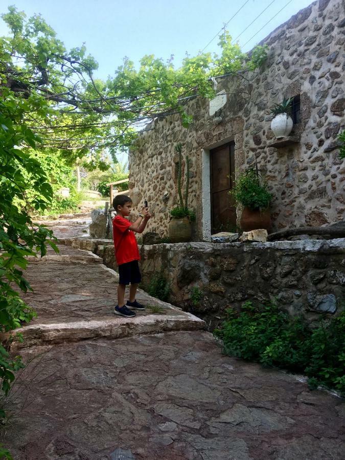 Villa Kalliopi Ιncreteble Cretan Resindences Collection Xerokampos  Extérieur photo